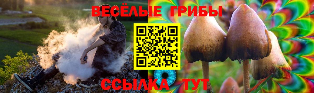 Ливны  Галлюциногенные грибы GOLDEN TEACHER  Вход с VPN 